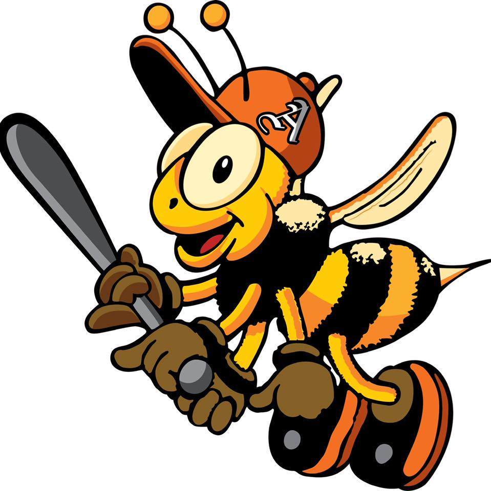 AVIGLIANA BEES